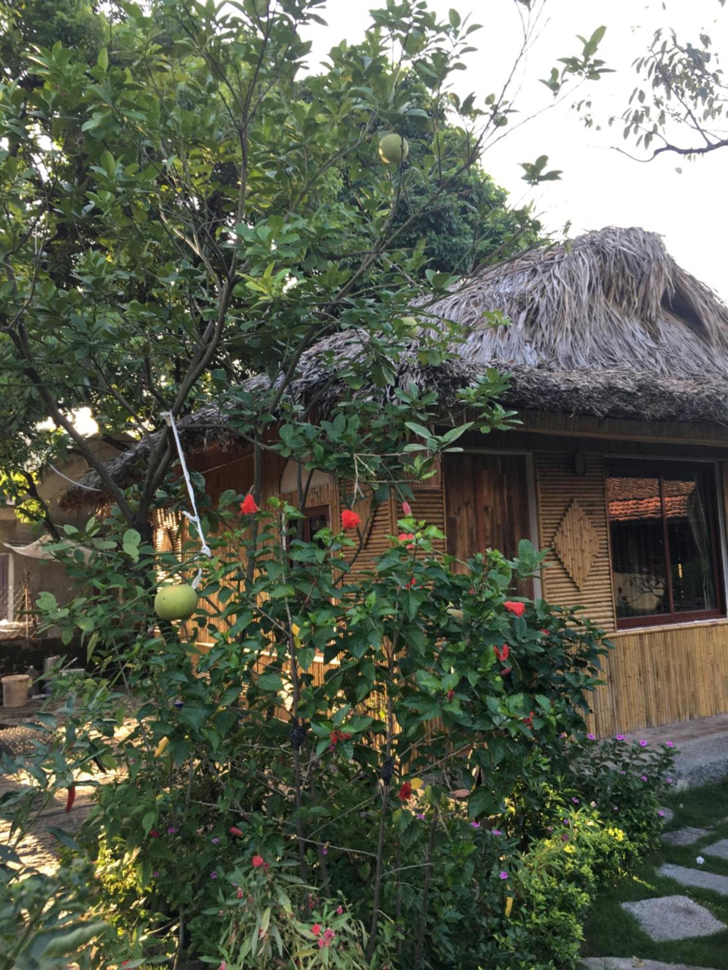 Tam Coc Palm House Vila Ninh Binh Exterior foto