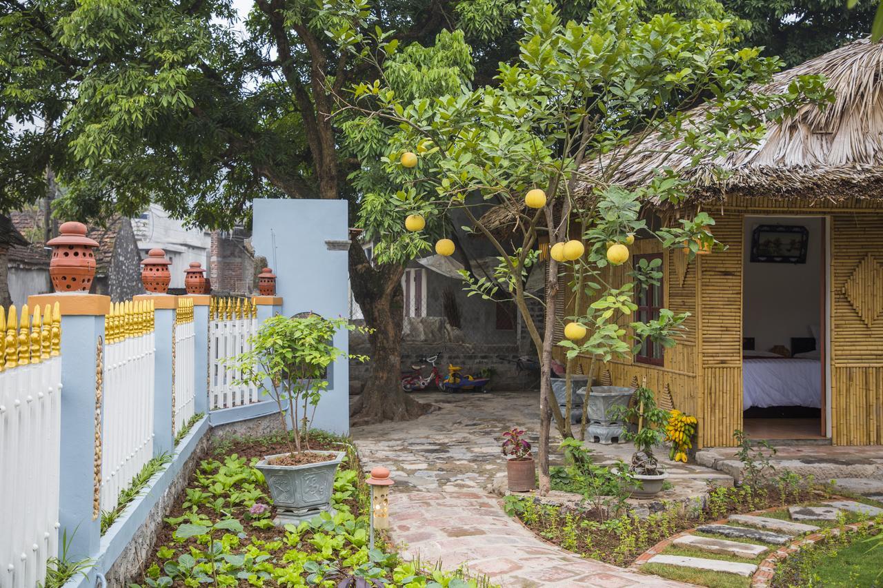 Tam Coc Palm House Vila Ninh Binh Exterior foto